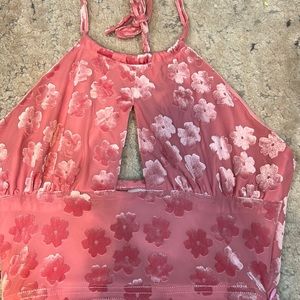 Color pink with flowers open from back